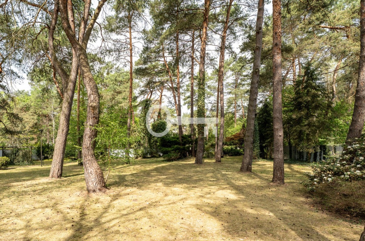 Starodrzew, park leśny | MPZP | pow.zab. do 780 m² - Widok 3