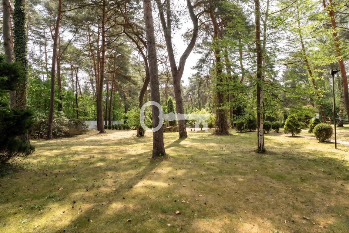 Starodrzew, park leśny | MPZP | pow.zab. do 780 m² - Widok 4