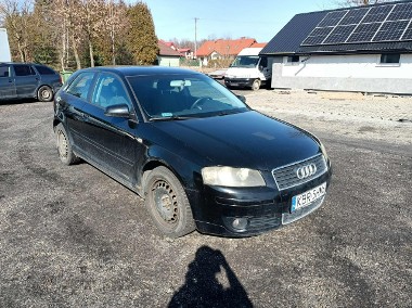 Audi A3 II (8P) Audi A3 1.9TDI 105km 04r-1