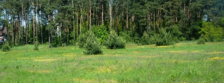 Działka budowlana Drużbice-1