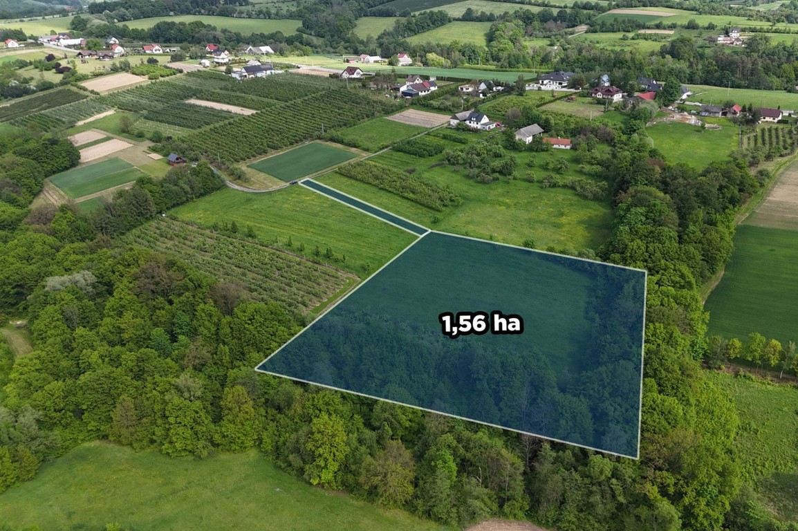 Działka rolno-leśna, 1,56 ha, Sadek, Jodłownik, małopolskie