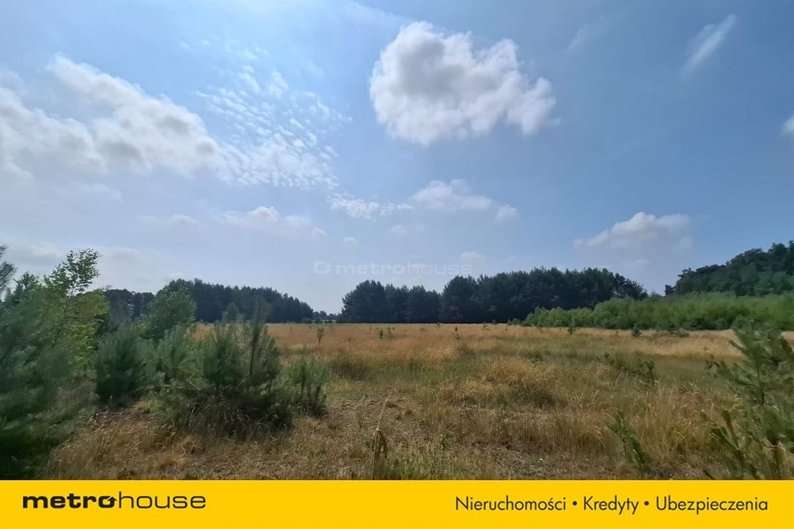 Działka 2,8ha w Dolinie Baryczy Wilkowo - Widok 2