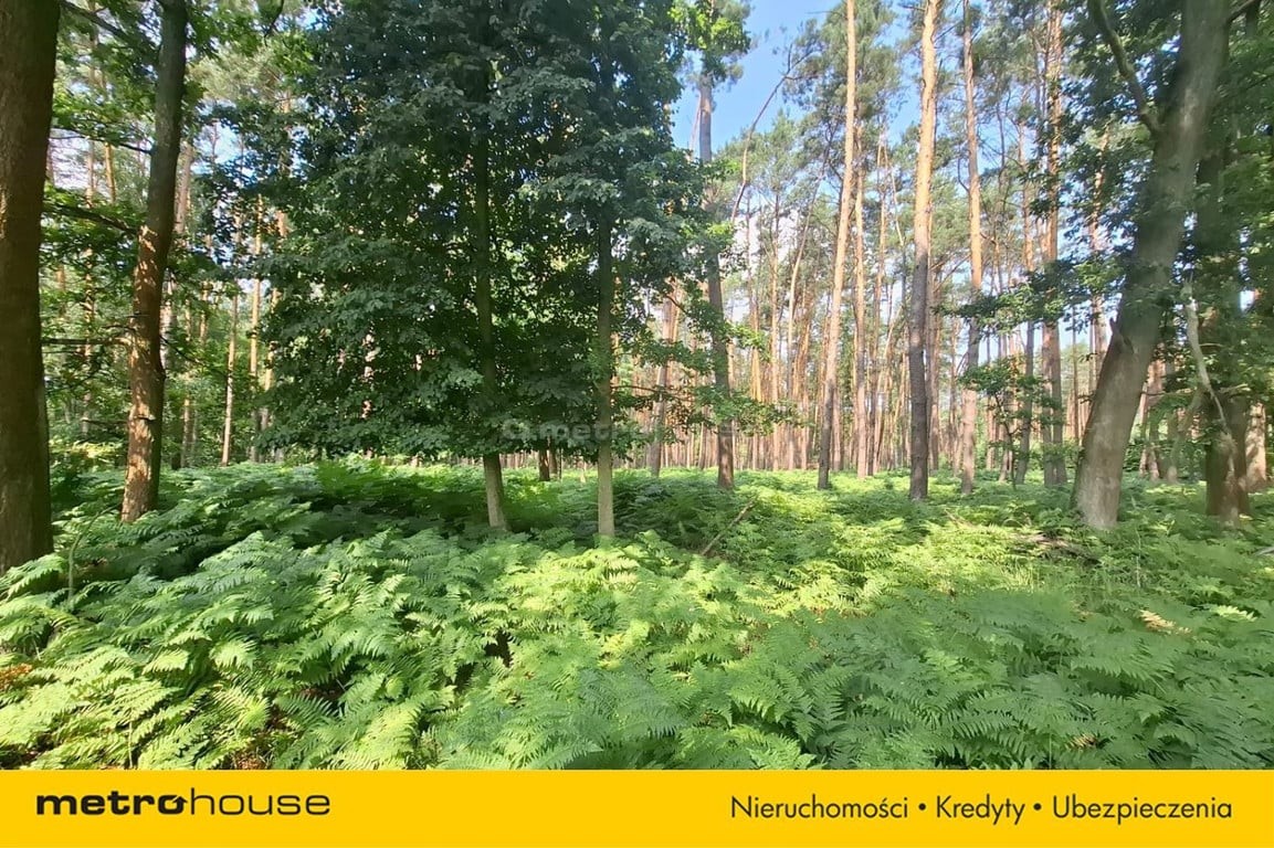 Działka 2,8ha w Dolinie Baryczy Wilkowo - Widok 3