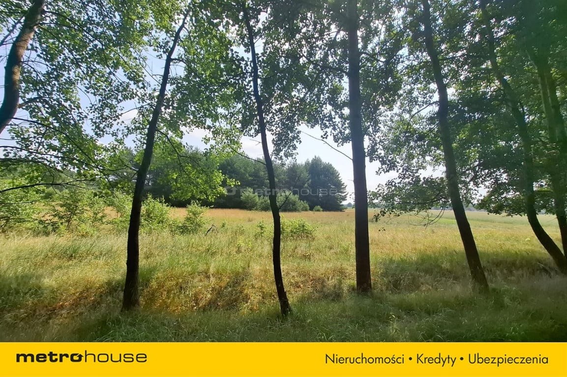 Działka 2,8ha w Dolinie Baryczy Wilkowo - Widok 4