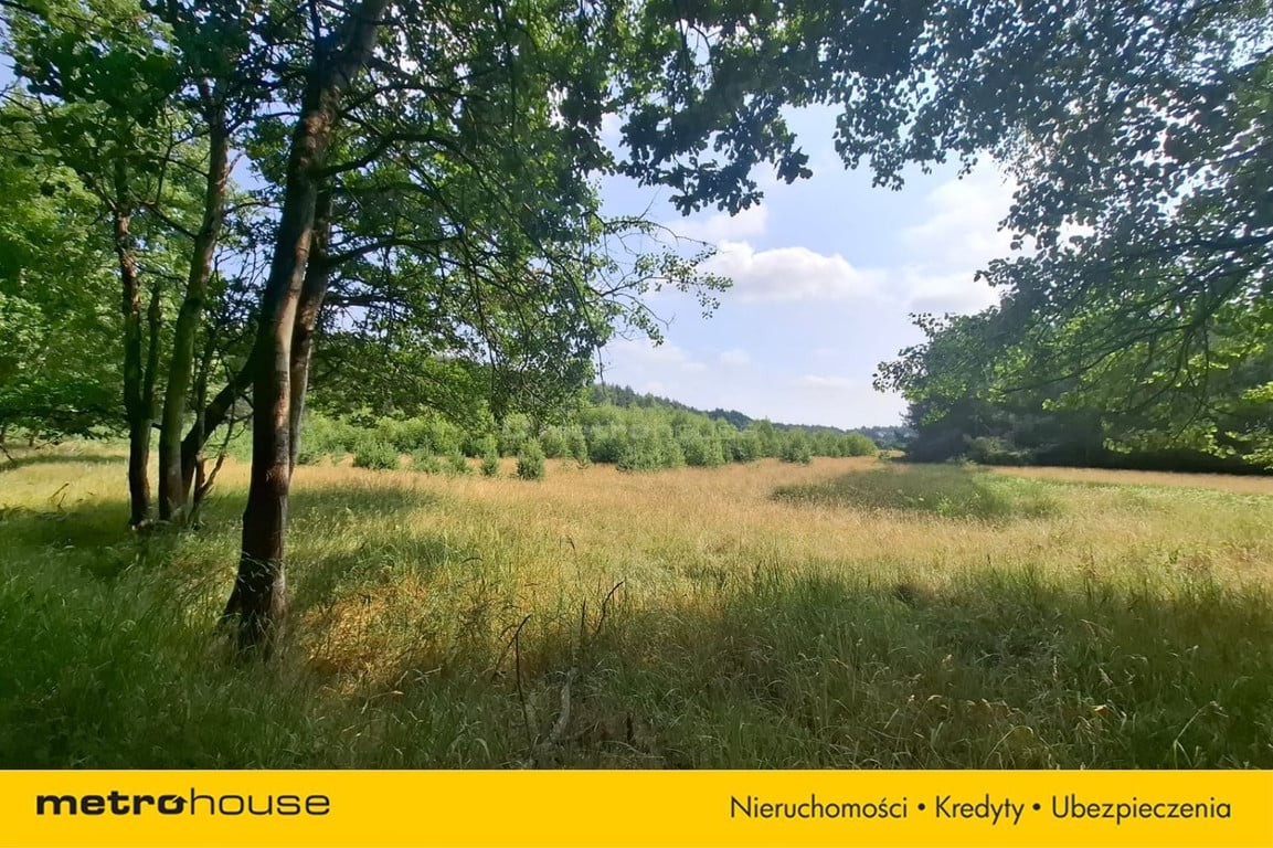 Działka 2,8ha w Dolinie Baryczy Wilkowo - Widok 5