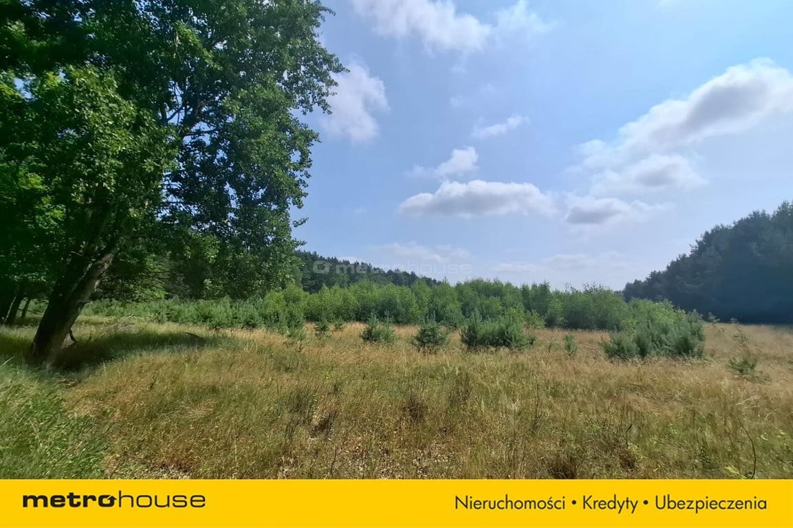 Działka 2,8ha w Dolinie Baryczy Wilkowo - Widok 6