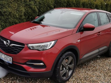  1.6 Plug-in Hybrid Sprowadzony I Jest Zarejestrowany-1