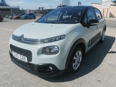 C3 Śliczny kolor- miętowy. Zadbany -1