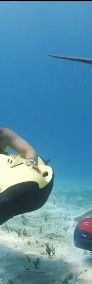 Zanzibar Pływanie z DELFINAMI Wycieczka SAFARI Tanzania BLUE-3