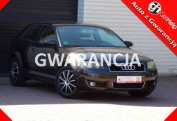 Audi A3 II (8P) Klimatronic /BOSE /1,6 /mpi /102KM