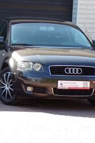Audi A3 II (8P) Klimatronic /BOSE /1,6 /mpi /102KM-2