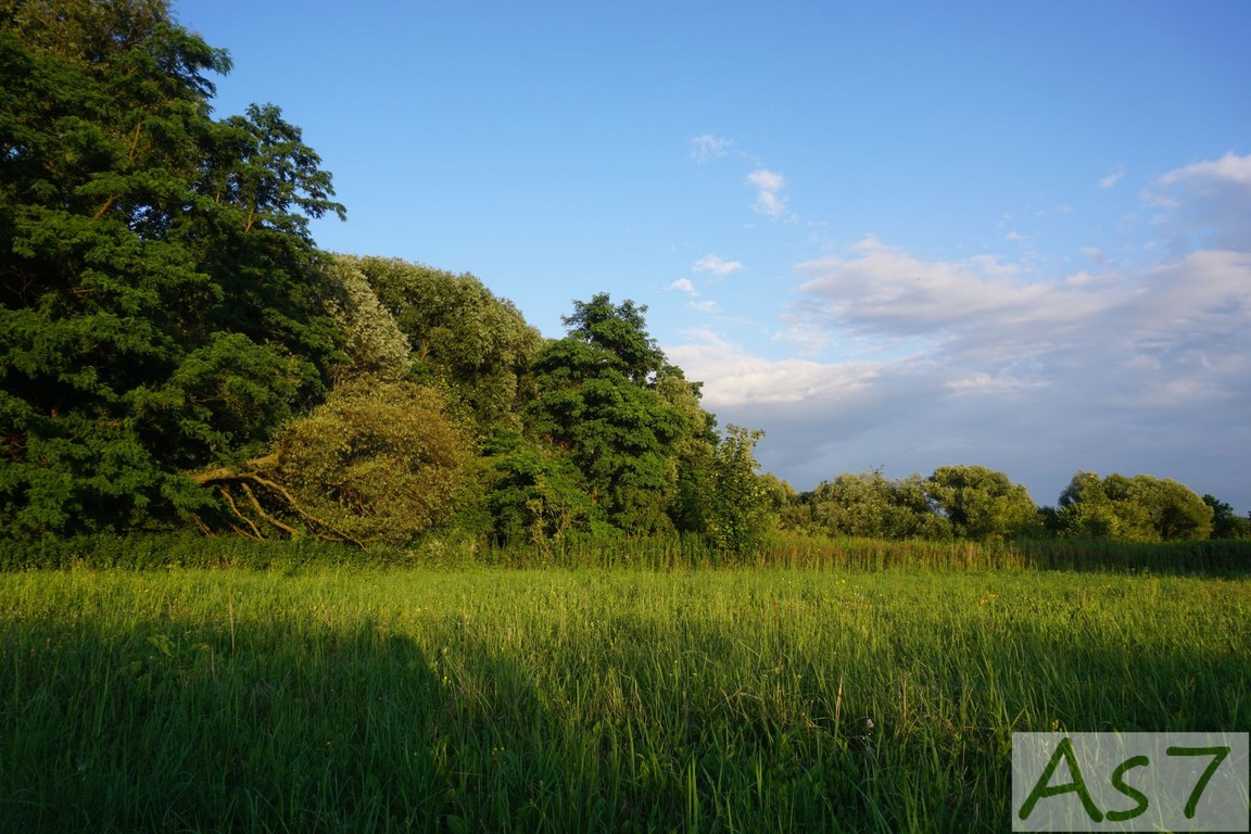Działka inwestycyjna - Widok 3