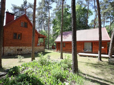 Dwa domy na dużej działce w leśnej otulinie-1