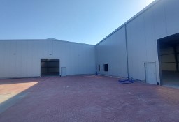 Hala magazynowa, usługowa 1400 m2 Kryspinów