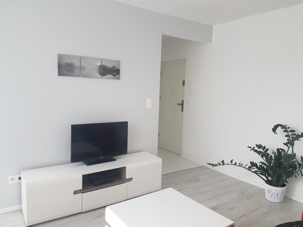 do wynajęcia apartament - Widok 2