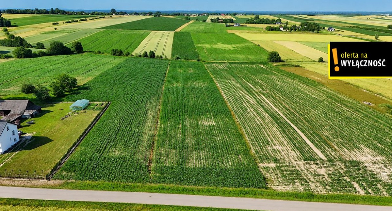 ATRAKCYJNA DZIAŁKA Z WARUNKAMI ZABUDOWY-SIELEC - Widok 6