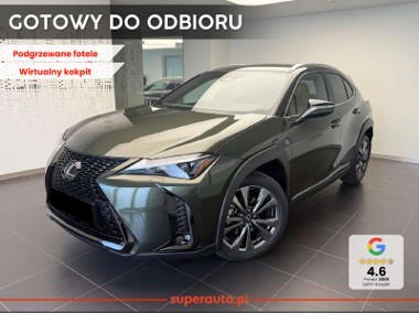 Lexus UX 300h F Sport Design 2.0 Hybrid Dynamic Force 300h F Sport Design 2.0-1