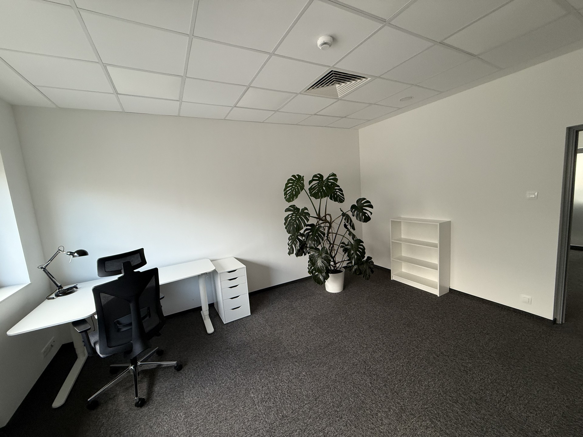 BIURA DO WYNAJĘCIA 289m² - Możliwość wynajęcia oddzielnych pokoi - Widok 6