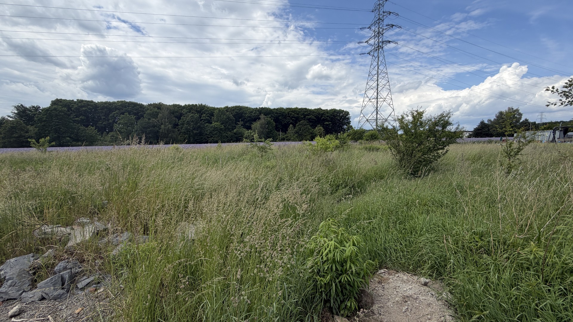 Działka budowlana | 800 m² | Utwardzony dojazd | Widok na las - Widok 3