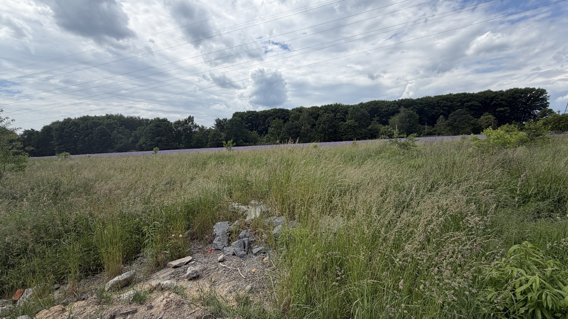 Działka budowlana | 800 m² | Utwardzony dojazd | Widok na las - Widok 2
