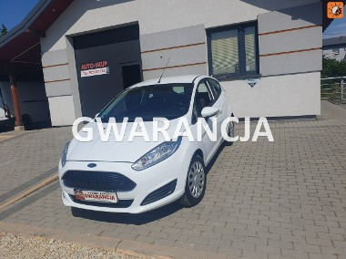 Ford Fiesta IX-1