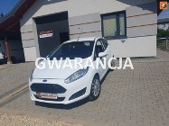 Ford Fiesta VIII