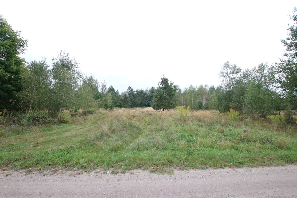 Działka budowlana ok.20 ar Gołąb g. Michów - Widok 2