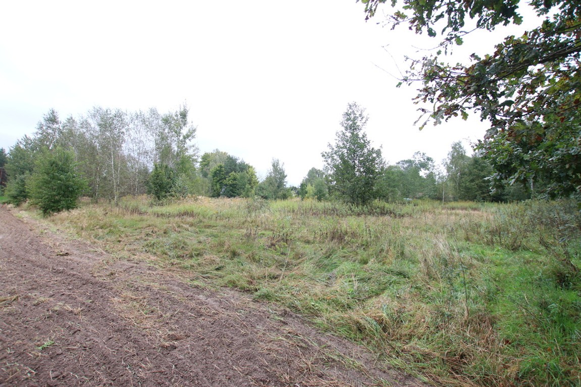 Działka budowlana ok.20 ar Gołąb g. Michów - Widok 6