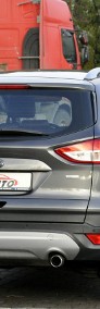 Ford Kuga III 1,5T 150KM Titanium*Navi*Panorama*ParkAssist*Serwis*Półskóry*Alufelg-4