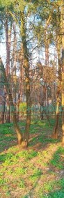 Działka leśna Międzyborów-4