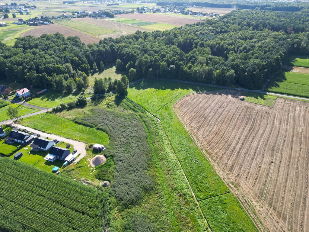 Malownicze Pasieki, las, media i asfalt ! - Widok 6