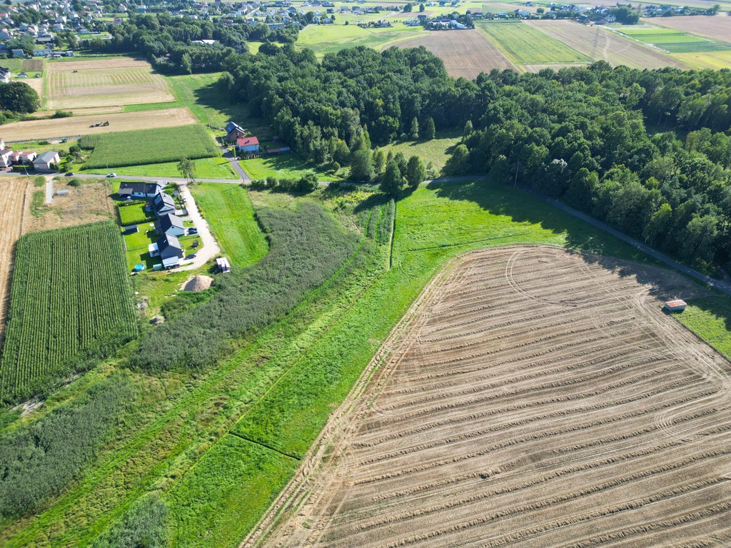 Malownicze Pasieki, las, media i asfalt ! - Więcej