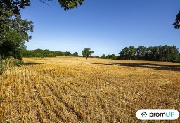 Działka inna Saint Maurice La Souterraine