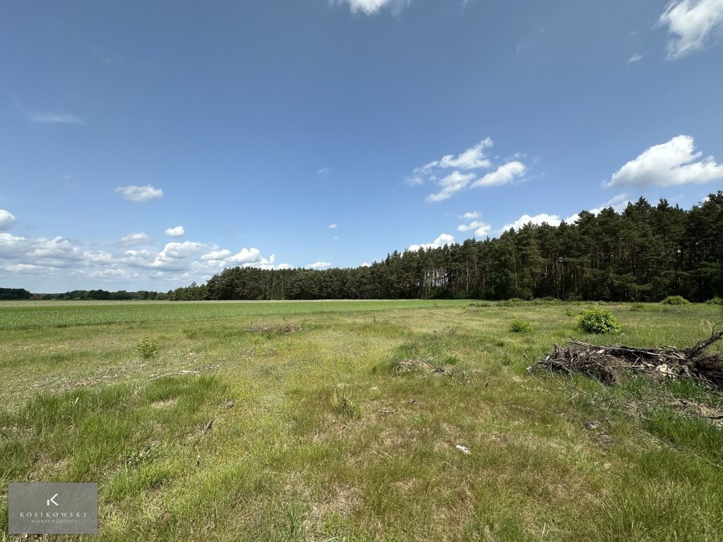 Działka na sprzedaż, 2168 m², Kobyla Góra Myślniew - Widok 2