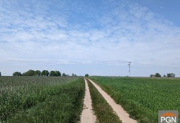 Działka rolna Budziszewko