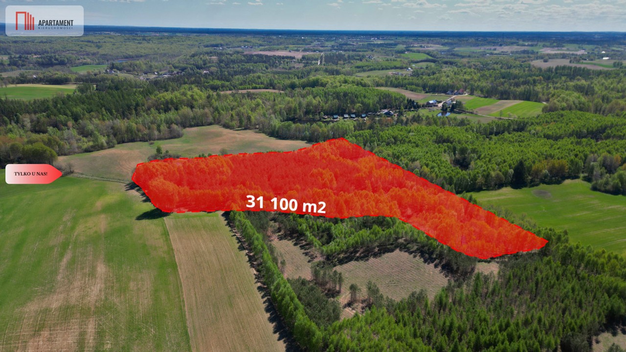 3 ha las, staw | Wydane warunki zabudowy, bytowski