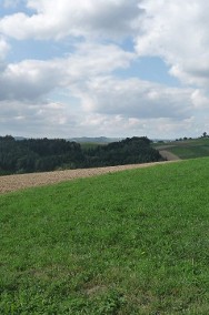 Działka rolno-budowlana Wapienne-3