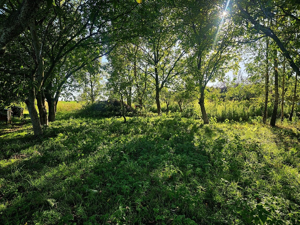 Działka pod dom jednorodzinny lub bliźniaka -Smugi - Widok 3