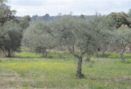 Działka inna Penamacor, Castelo Branco