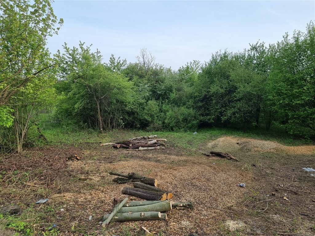 Duża działka w Ząbkowicach - Widok 3