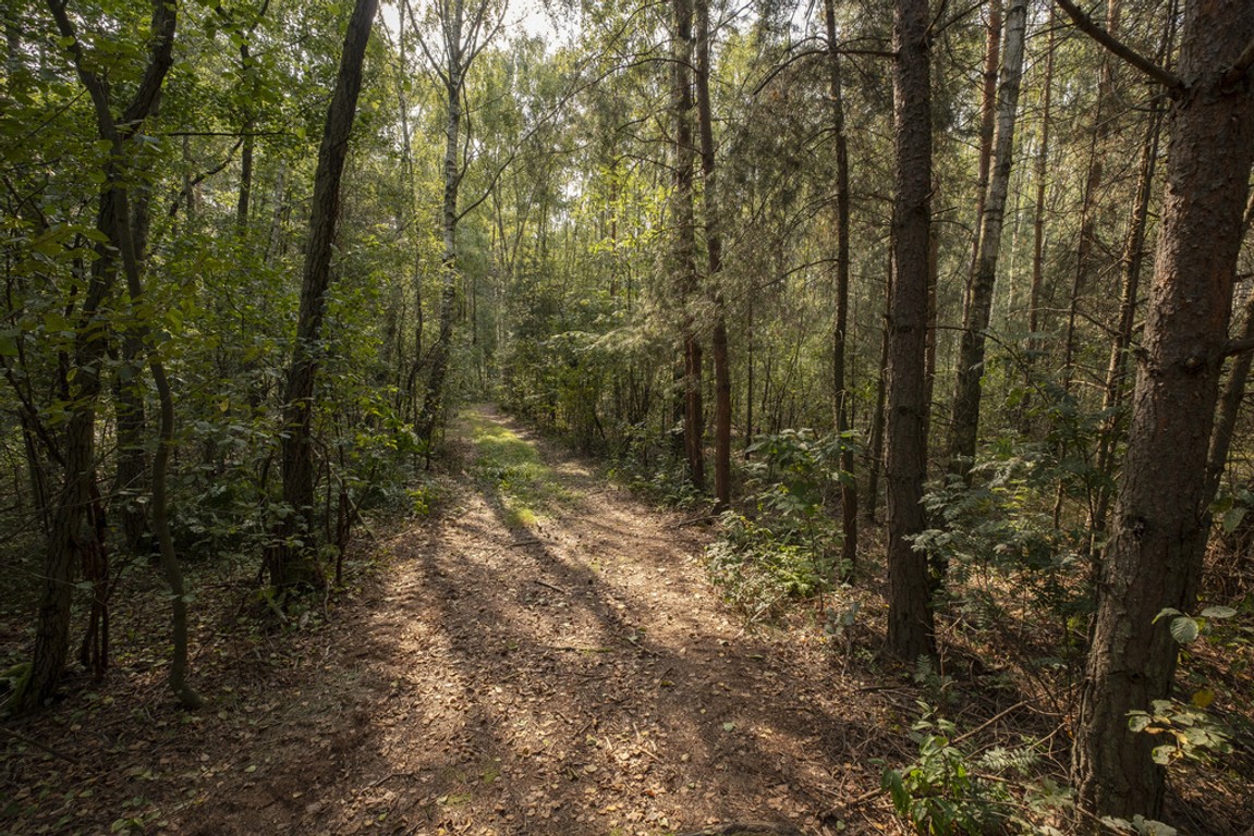 Tereny zielone - Więcej