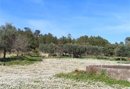 Działka inna Fundão, Castelo Branco