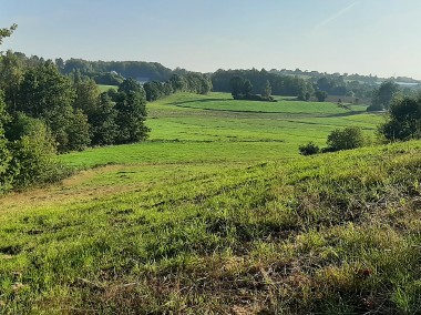 Działka rolna 3 km od Sierakowic-1