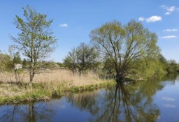 Działka rekreacyjna Trzebiatów