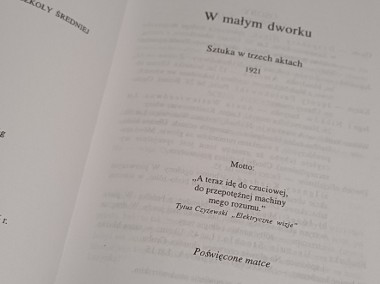 W małym dworku - Stanisław Ignacy Witkiewicz -2