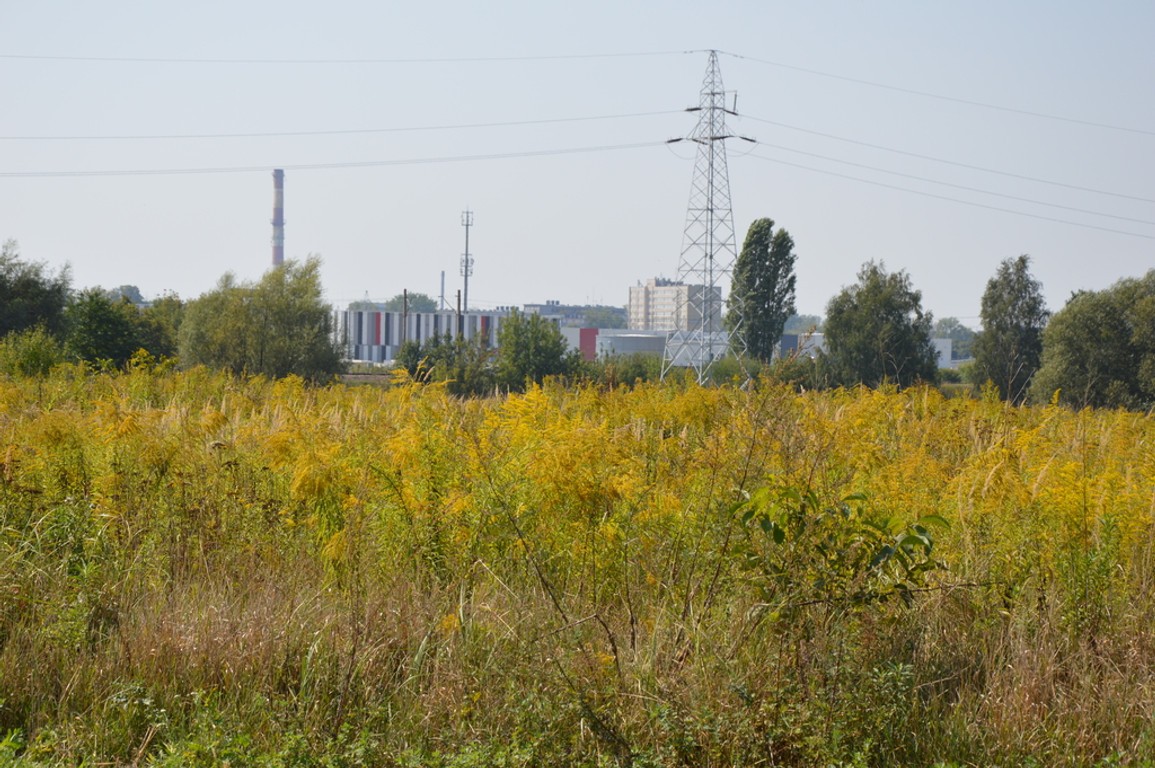 Działka Lublin-Zadębie inwestycyjna/budowlana, Lublin