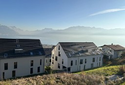 Dom Vevey