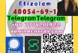 Etizolam Good quality Etizolam cas:40054-69-1