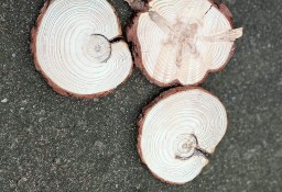 Ciekawe kształty - plastry drewna, krążki 3 szt, 10-11 cm