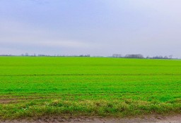 Działka budowlana Niechorze, ul. Klifowa